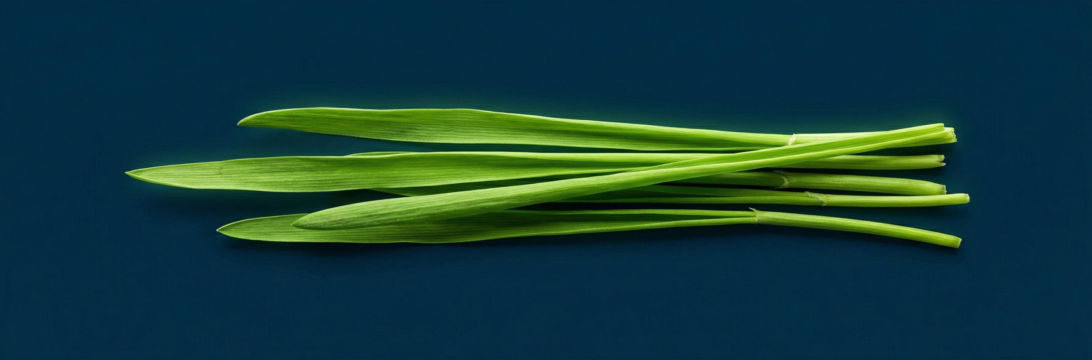 NSP Greens Blend — fresh barley grass and wheat grass blades, chlorophyll-rich superfoods