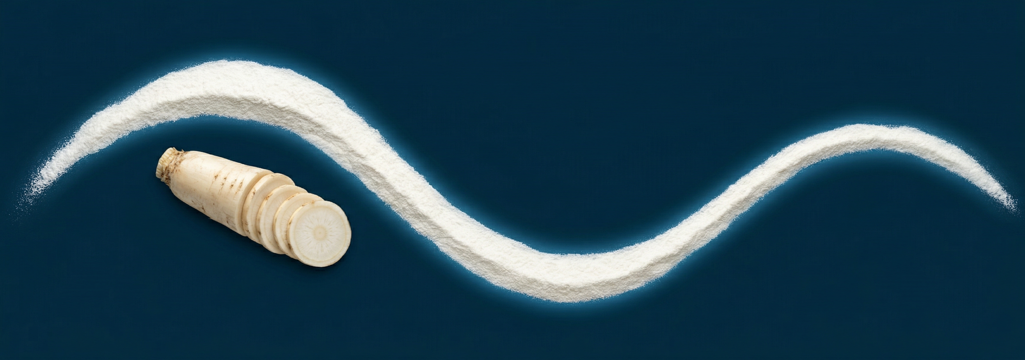 NSP Prebiotic Fiber 2000mg — inulin and fructooligosaccharides from chicory root for beneficial gut bacteria